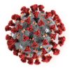 Corona virus prevention