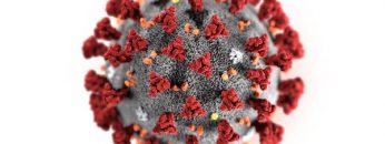 Corona virus prevention
