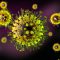 ویروس کرونا 19 و راهکارهای مقابله با آن