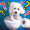 TOILET PAPER CHALLENGE -AMAZING TOILET PAPER HACKS