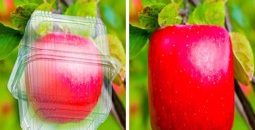 ترفند-های-جدید-باغبانی