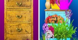 29-ایده-خلاقانه-برای-دکور-خانه-با-گیاهان-در-یک-نگاه