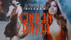 Aysel-Əlizadə-Səndən-basqa