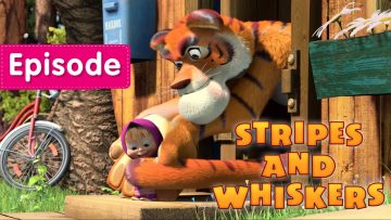 Masha-and-The-Bear-Stripes-and-Whiskers-Episode-20