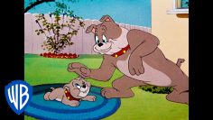 Tom-Jerry