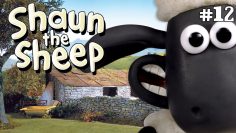 Mountains-out-of-Molehills
