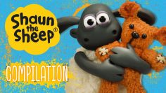 Timmy-Episodes-Compilation-2