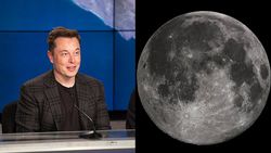 elon-musk-moon_6750