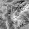 alp_5161