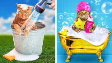 ترفندهای-5-دقیقه-ای-هک-های-هوشمند-برای-حیوانات-خانگی-شما