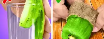 mivehjat