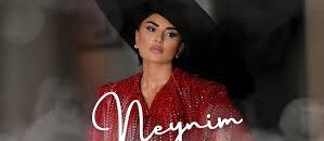 Şəbnəm Tovuzlu – Neynim (Yeni 2024)